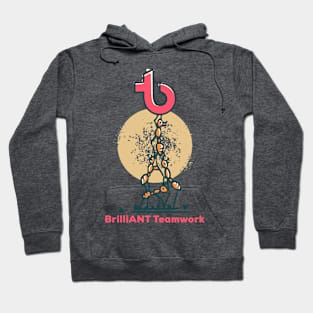 BrilliANT Teamwork Hoodie